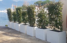 Hotel "Palma" Tivat